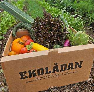 Nibblelådan 